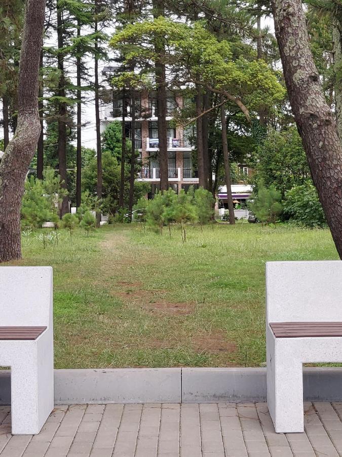 French Hotel Kobuleti Εξωτερικό φωτογραφία